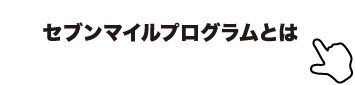 セブンマイルプログラムとは